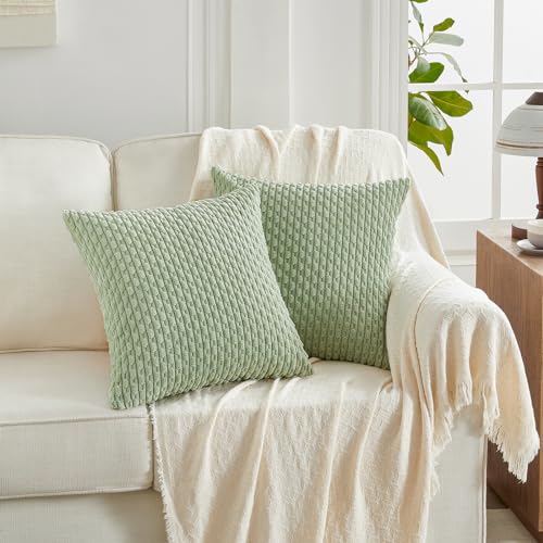 FDTERN 2er Set 45x45 cm Blassgrün Kordsamt Kissenbezug,Flauschig Boho Kissenbezüge Kissenhülle Dekokissenbezug Sofakissen Couchkissen Dekokissen Deko für Sofa Schlafzimmer Wohnzimmer FDTERN 2er Set 45x45 cm Blassgrün Kordsamt Kissenbezug,Flauschig Boho Kissenbezüge Kissenhülle Dekokissenbezug Sofakissen Couchkissen Dekokissen Deko für Sofa Schlafzimmer Wohnzimmer von FDTERN