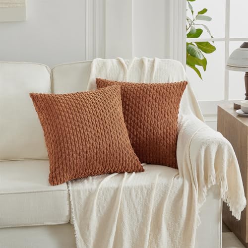FDTERN 2er Set 45x45 cm Rostrot Kordsamt Kissenbezug,Flauschig Boho Kissenbezüge Kissenhülle Dekokissenbezug Sofakissen Couchkissen Dekokissen Deko für Sofa Schlafzimmer Wohnzimmer von FDTERN