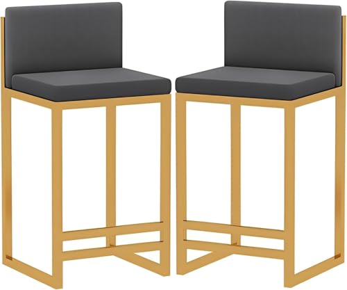FDTMGW Counter Heighing Stools Moderne Barhocker Set aus 2 Samtkücheninselhocker, Hochleistungsschalter High Stool mit verdickten Rücken- und goldenen Beinen, Frühstücksstuhl (Grau, 60 cm) von FDTMGW