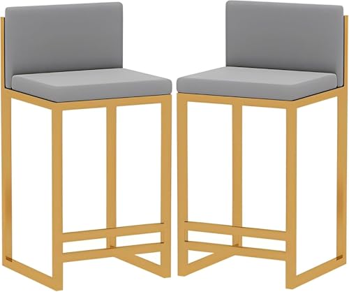 FDTMGW Counter Heighing Stools Moderne Barhocker Set aus 2 Samtkücheninselhocker, Hochleistungsschalter High Stool mit verdickten Rücken- und goldenen Beinen, Frühstücksstuhl (Grau, 60 cm) von FDTMGW