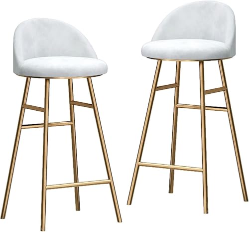 FDTMGW Counter Heighthools Industrial Bar Stools Set aus 2 Samtküchendküche Theaterschuhhocker mit Rücken und Metall Basis Footstützes Dining Island Pub Party Barhocker 65 cm/75 cm Sitzhöhe von FDTMGW
