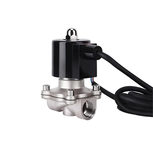 1 "304 Edelstahl Brunnen Magnetventil 110V AC Normal Geschlossen Magnetventil for Unterwasser(BSPT-110VAC-VITON-SEAL) von FDYZCIYI