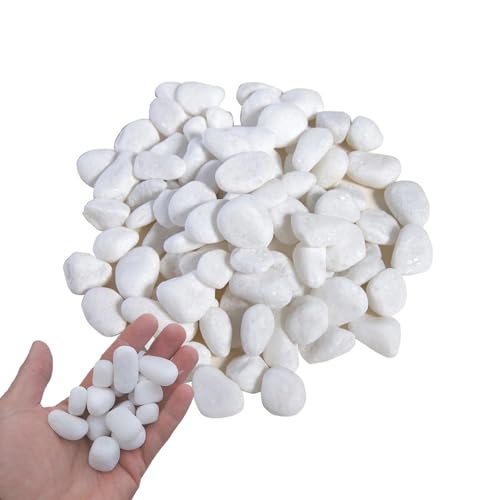 FEADBYT Kieselsteine, Polierte Flusssteine, Polierte Kieselsteine, Gartensteine Weiss Gross, für Landschaftsbau, Heimdekoration, 1kg (Weiß, 2-4 cm) von FEADBYT
