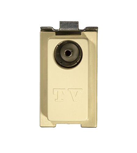 Feb 2048 Stecker TV Gürtelschlaufe weiblich von FEB