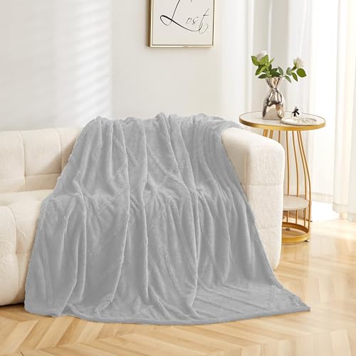 FEBE Kuscheldecke Flauschig Silver Grau 160x200 cm Wohndecke Fleecedecke Sofadecke Zimmerdeko überwurfdecke Blanket von FEBE