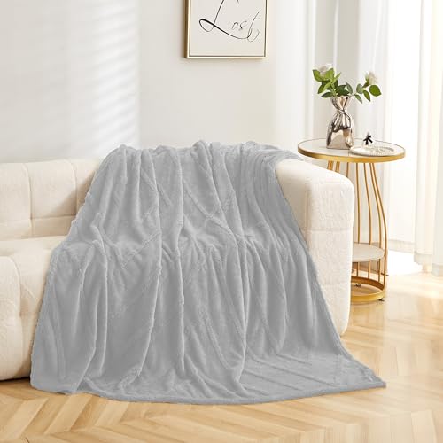 FEBE Kuscheldecke Flauschig Silver Grau 160x200 cm Wohndecke Fleecedecke Sofadecke Zimmerdeko Couch überwurfdecke Blanket von FEBE