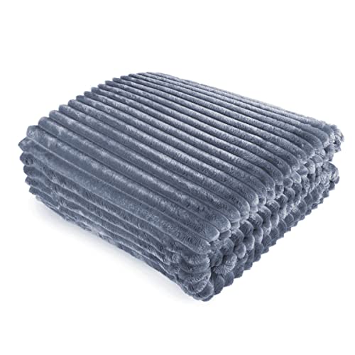 FEBE Kuscheldecke Hellgrau 160x200 cm Flauschig Tagesdecke Fleecedecke Flanell Decke Sofadecke Für Couch Wohndecke Wendedecke als Sofaüberwurf oder Wohnzimmerdecke FEBE Kuscheldecke Hellgrau 160x200 cm Flauschig Tagesdecke Fleecedecke Flanell Decke Sofadecke Für Couch Wohndecke Wendedecke als Sofaüberwurf oder Wohnzimmerdecke von FEBE