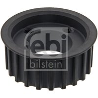 Kettenrad 36581 Febi Kettenrad 36581 Febi von FEBI