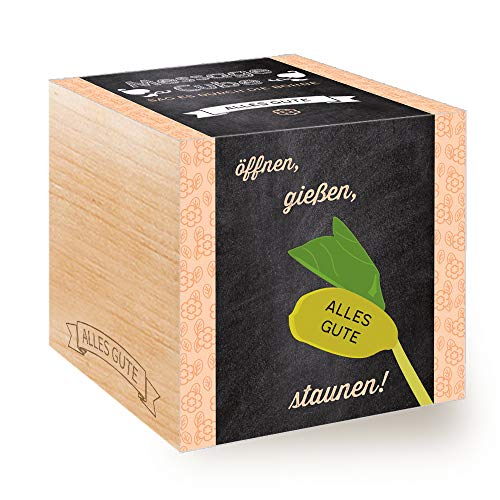Feel Green Message Cube, Holzwürfel Mit Lasergravierter Glücksbohne"Alles Gute", Nachhaltige Geschenkidee, 100% Eco Friendly, Anzuchtset, Made in Austria von Feel Green - WE CREATE NATURE