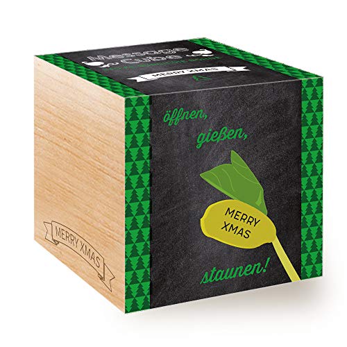 Feel Green Message Cube, Holzwürfel Mit Lasergravierter Glücksbohne"Merry Xmas", Nachhaltige Geschenkidee, 100% Eco Friendly, Anzuchtset, Made in Austria von Feel Green - WE CREATE NATURE