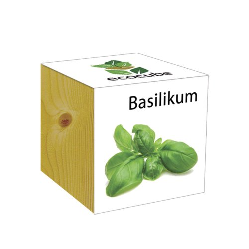 ecocube Holzwürfel - Basilikum von Feel Green