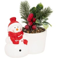 Pflanze Topf Pn Bn H13 Ass2 - von FÉÉRIC LIGHTS AND CHRISTMAS