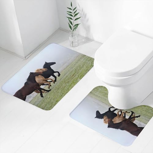 FEHWI Badematten Set 2-teilig, Badematten und WC Vorleger rutschfest & Waschbar,DREI Pferde unterschiedlicher Farben sprinten im stillen Nebel vorwärts, umge,Luxus Dicke Mikrofaser Badezimmerteppich von FEHWI