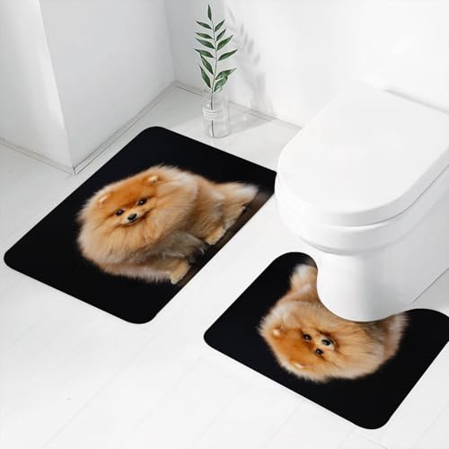 FEHWI Badematten Set 2-teilig, Badematten und WC Vorleger rutschfest & Waschbar,Pommerscher Spitzhund auf isoliertem schwarzem Hintergrund im Studio,Luxus Dicke Mikrofaser Badezimmerteppich von FEHWI