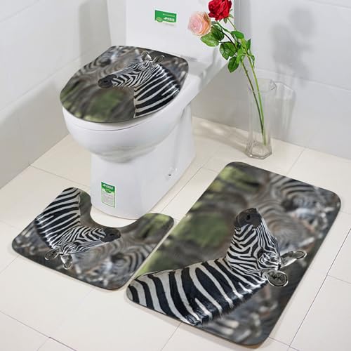 FEHWI Badezimmerteppich 3 Teil Mikrofaser -Saugbad Teppichpolster für Dusche,Badewanne und Toilette,Maschine waschbar,Zebra im Serengeti-Nationalpark Tansania Afrika von FEHWI