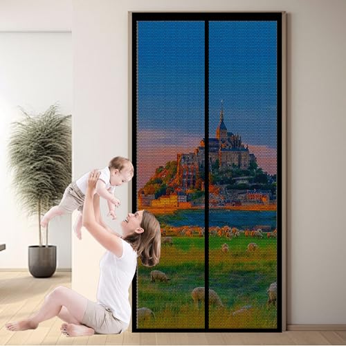 Fliegengitter Tür Magnet 67 x 219 cm Magnetisches Moskitonetz Kinderleichte Klebemontage für Wohnzimmer Schiebetür, Schwarz von FEIJDON