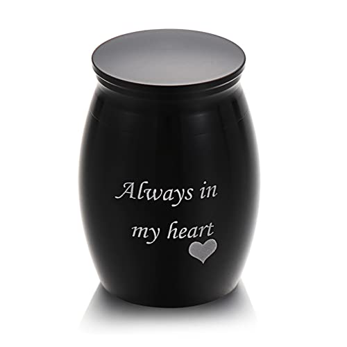 FEILIV 1Pc Mini Memorial Urne Aluminiumlegierung Gewindedeckel Pet Urnen Geliebte Pet Andenken Bestattungsurne Tierurne(1,L) von FEILIV