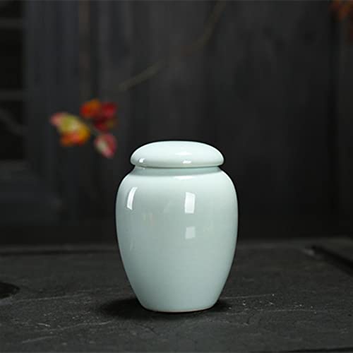 FEILIV Pet Urn for Dogs Cats Ashes Keepsake Memorial Box Funeral Set Burial Urns for Cremated Remains Ash Vial Adult Funeral Urn Pet Cat and Dog Urn 36322 Tierurne(Green) von FEILIV