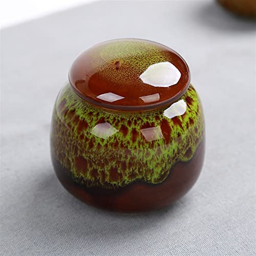 FEILIV Pet Urn for Dogs Cats Ashes Keepsake Memorial Box Funeral Set Burial Urns for Cremated Remains Ash Vial Adult Funeral Urn Pet Cat and Dog Urn 59621 Tierurne(Green) von FEILIV