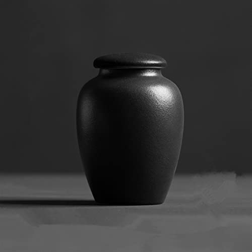 FEILIV Pet Urn for Dogs Cats Ashes Keepsake Memorial Box Funeral Set Burial Urns for Cremated Remains Ash Vial Adult Funeral Urn Pet Cat and Dog Urn 97177 Tierurne(Black,9x12cm) von FEILIV