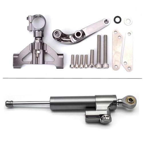 Ersatzteile Für Kawasaki Für Ninja ZX14R ZZR1400 ZZR 1400 ZX-14R 2006-2020 CNC Fiber Carbon Lenkung Dämpfer Stabilisator Halterung Montage Kit Modifikationsteile(Complete Kit 3) von FEILIVCI