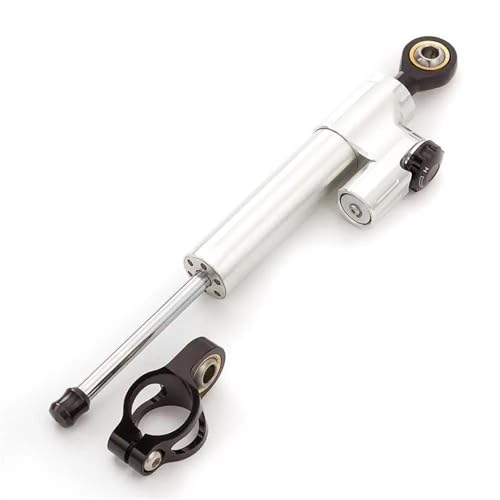 FEILIVCI Ersatzteile Für CBR250RR CBR250RR 2019 2020 2021 2022 2023 CNC Aluminium Motorrad Lenkungsdämpfer Stabilisator Halterung Montage Support Kit Halter Modifikationsteile(Silver-Black) von FEILIVCI
