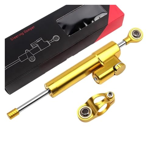 FEILIVCI Ersatzteile Für Ducati 848 2008 2009 2010 CNC Aluminium Motorrad Lenkung Stabilisieren Dämpfer Halterung Montieren Geändert Modifikationsteile(Damper 6) von FEILIVCI