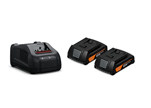 Fein Akku Starterset GBA 18 V 2,0 AH AS (2 Li-Ionen Akkus 2,0 AH + Ladegerät, für AMPShare/Bosch Professional 18 V, Kurze Ladezeiten, Ladestrom 8 Ampere) 92604244010 von FEIN