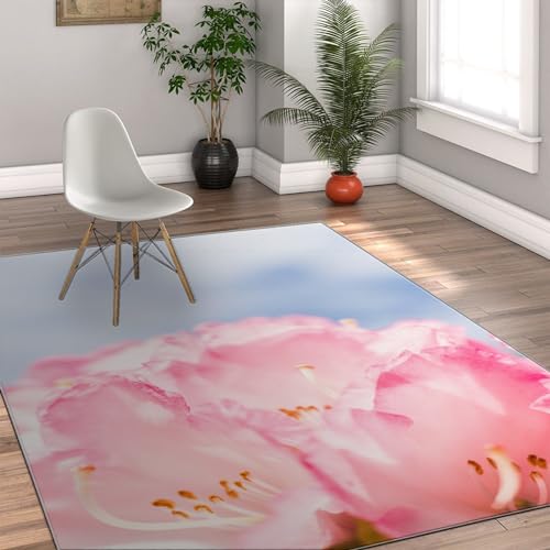 FEIPUHOME Art Bereich Teppiche Frühling Blumen Pflanze Blush rosa Teppich faltbar maschinenwaschbar gemütlicher Teppich für Schlafzimmer Esszimmer Büro Dekor 160x200cm von FEIPUHOME Art