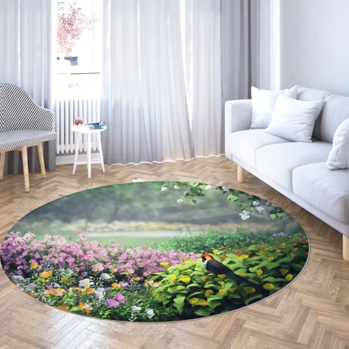 FEIPUHOME Art Frühling Naturpark Landschaft Runde Teppiche Vögel Blühende Blumen Gras Sträucher Teppich Teppich Rutschfester Eingang für Zimmer Kaffee Stuhl Bauernhaus 160x160cm von FEIPUHOME Art