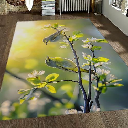 FEIPUHOME Art Frühling Vögel Thema Teppiche Birne Blüten Zweige Smaragdgrün Landschaft Flachflor Überwurf Teppich für Wohnzimmer Wäscherei Waschbar 160x200cm FEIPUHOME Art Frühling Vögel Thema Teppiche Birne Blüten Zweige Smaragdgrün Landschaft Flachflor Überwurf Teppich für Wohnzimmer Wäscherei Waschbar 160x200cm von FEIPUHOME Art