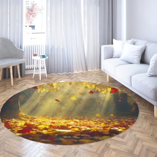 FEIPUHOME Art Moderne Natur Thema Runde Teppiche Herbst Wald Goldene Blätter im Sonnenlicht gebadet Flachflor Weicher Teppich für Gästezimmer Teestube Veranda rutschfest 80x80cm FEIPUHOME Art Moderne Natur Thema Runde Teppiche Herbst Wald Goldene Blätter im Sonnenlicht gebadet Flachflor Weicher Teppich für Gästezimmer Teestube Veranda rutschfest 80x80cm von FEIPUHOME Art