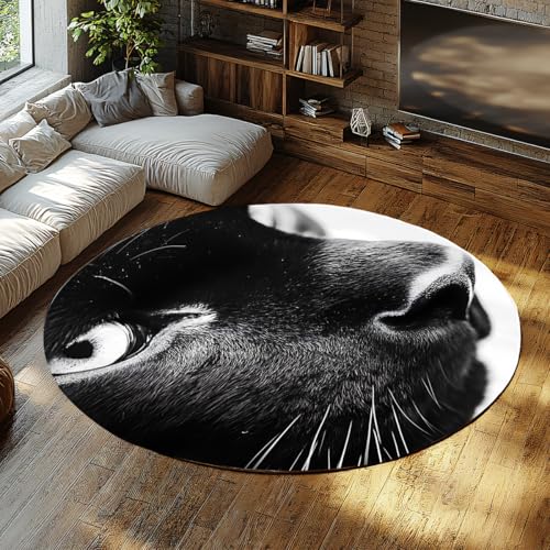 FEIPUHOME Art Schwarze Katze Leopard Headshot Runder Teppich Waschbar Rutschfester dünner Boden Teppiche für Wohnzimmer Schlafzimmer Wohnung Spielzimmer mit niedrigem Flor Faltbar 160x160cm FEIPUHOME Art Schwarze Katze Leopard Headshot Runder Teppich Waschbar Rutschfester dünner Boden Teppiche für Wohnzimmer Schlafzimmer Wohnung Spielzimmer mit niedrigem Flor Faltbar 160x160cm von FEIPUHOME Art