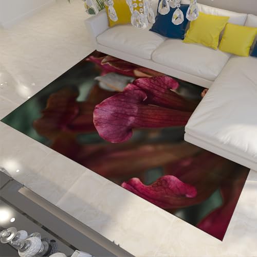 FEIPUHOME Art Vintage-Luxus-Blumendruck Großer Teppich rutschfeste Schlafzimmerteppiche rustikal schöne Blumenmatte für Vordereingang Bodendekor 120x210cm von FEIPUHOME Art