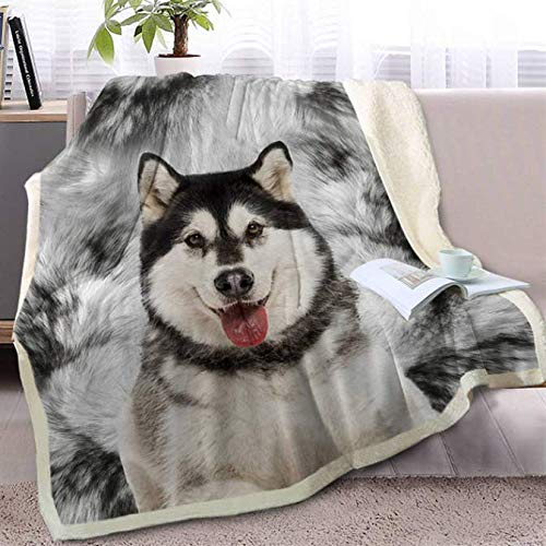 Alaskan Malamute Decke Auf Bett Sofa 3D Tier Hund Sherpa Fleece Decke Husky Tagesdecken Dünne Steppdecke 150 * 180 cm von FEJK