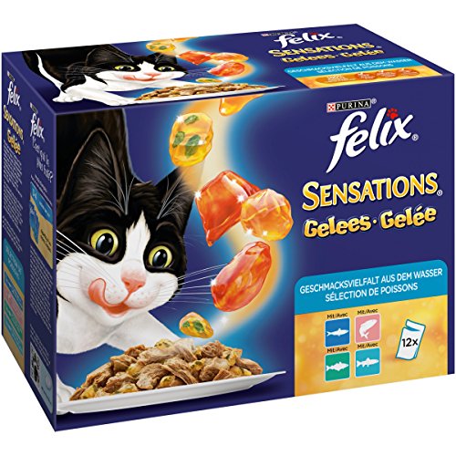 Felix Katzennassfutter Sensations Gelees Geschmacksvielfalt aus dem Wasser, 6er Pack (6 x 12 x 100g) Portionsbeutel von Felix