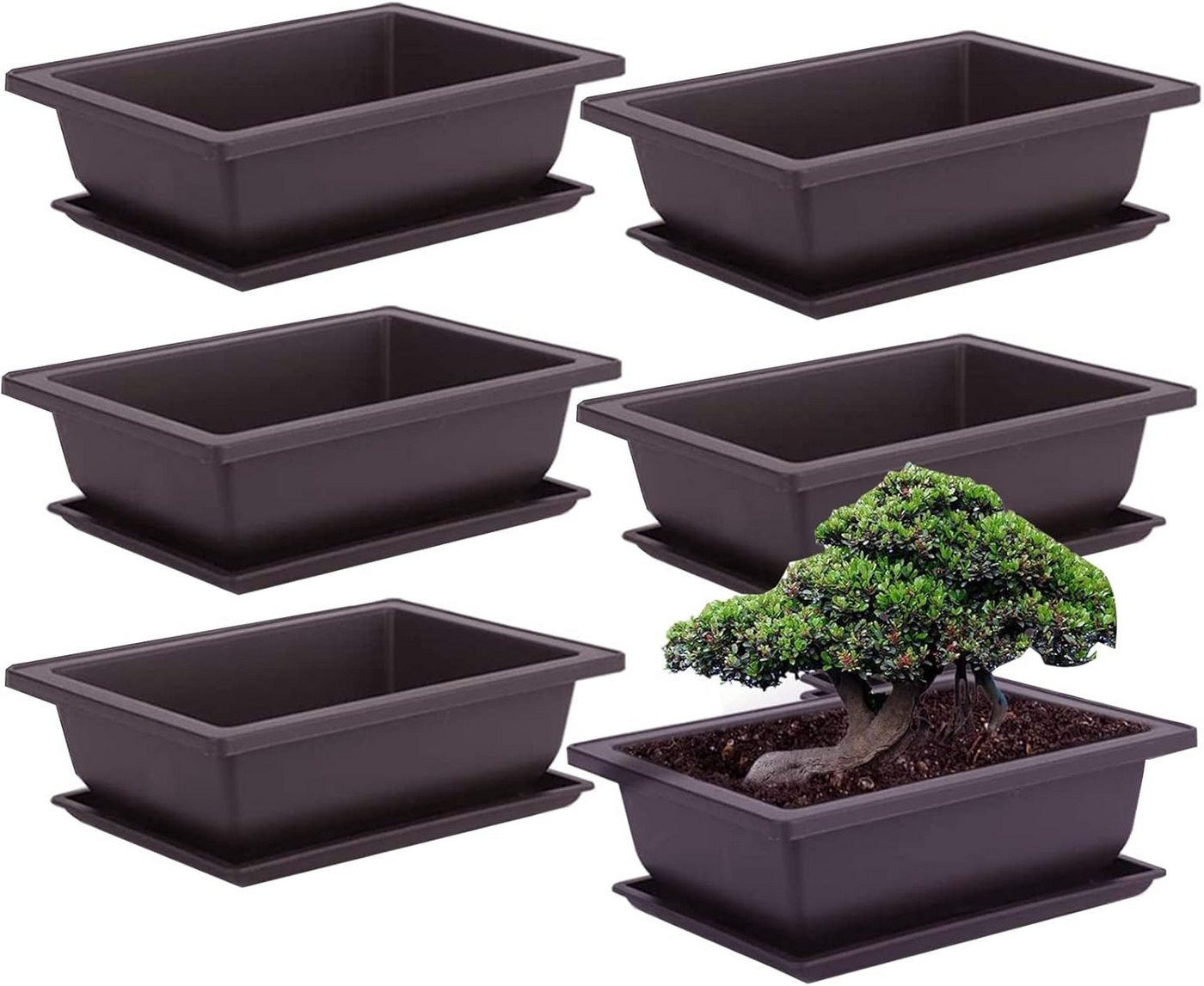 FELIXLEO Gitterfolie 6Stück Bonsai Trainingstöpfe mit Tablett, Pflanztopf Rechteck Schale L (1-St) von FELIXLEO