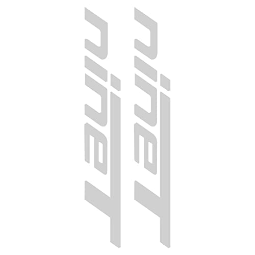 Motorrad-Aufkleber Wasserdichter Aufkleber R Nine T 2022 für BMW R NineT RnineT Scrambler Urban GS Racer Pure 2014 2015 2016 2017 2018 2019 2020 2021 Zubehör (Color : Silver) von FEMEIN