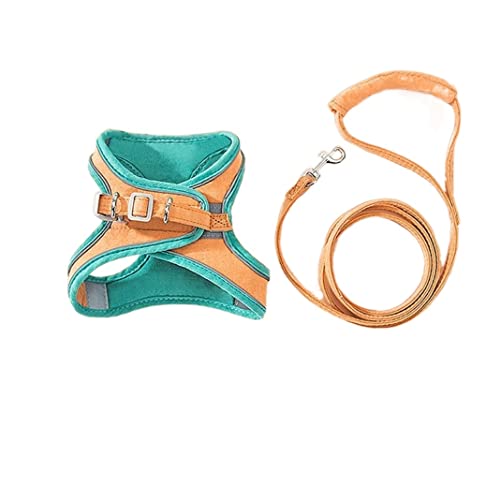 Hundeleine Geschirr Und Leine Für Hunde Geschirr Und Leine Set Welpen Geschirr Und Leine Für Haustierhalsband Verstellbare Hundeleine (Oranje,24-28cm) von FENGJISUN