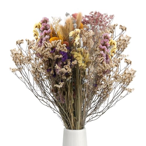 Trockenblumen Set, Lang getrocknete Blumen 12 Stück, 30 cm, Natürliche Strohblumen für Deko, Hochzeit und Tischdekoration von FENGQQKJ