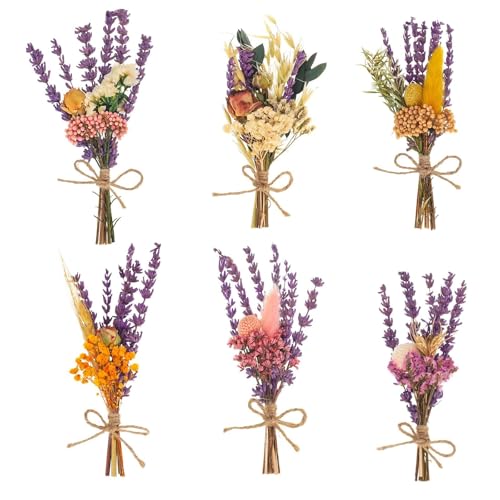 Trockenblumenstrauß Kein Mini Blumenstrauß Gepresste Blumen Trockenblumen zum Basteln Natürliche Getrocknete Blumen Deko Fake Blumen Kunstblume Konservierte Flora Lila für DIY Blumendeko von FENGQQKJ