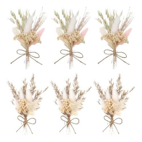 Trockenblumenstrauß Mini Echten Trockenblumen zum Basteln Boho Trockenblumenstrauß Klein Handgemachter Blumenstrauß Getrocknete Blumenstrauss DIY Trockenblumen Blumen Deko für Bilderrahmen 6 Bündel von FENGQQKJ