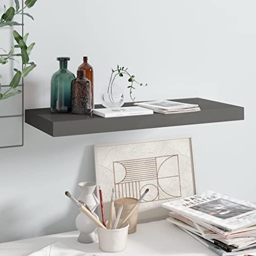 FENLAX Wandregale 60x23,5x3,8 cm Waben-MDF, Metall Hochglanz-Grau Wohnzimmer Regal Wand Regalbretter Küchenregal Bücherregal Regale für Wände Stilvolle Hängeregal mit Unsichtbaren Montagesystem von FENLAX