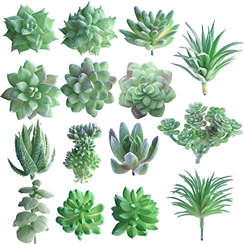 FEPITO 15 Stück Künstliche Sukkulenten Grün Unfotted Faux Blume Sukkulenten Mini Echeveria Picks Bulk Vorbauten für Zuhause Indoor Fairy Garden Dekorationen von FEPITO