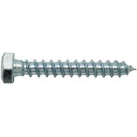 Sechskantschraubenbolzen verzinkt 25 stück 6 x 60 mm DIN-571 - 43477 von FER