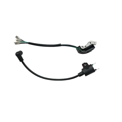 FEREOWNQ Et950 Et650 Ie45 Tg950 Integrierter Magnetzünder Spule Zündgerät for T-ger Generator 450w 650w 800w 950w 1000w 2 Hub(2pcs) von FEREOWNQ