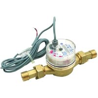 Wasserzähler 1'1/4 mit Impulsausgang 10 ltximp von FERRARI SRL