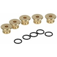 5 kit g20 d.5.0 bluehelix pro c (X 5) von FERROLI