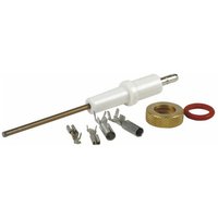 Ionisationselektrode econcept Ferroli 36702635 Ionisationselektrode econcept Ferroli 36702635 von FERROLI