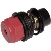 Sicherheitsventil 3 bar von FERROLI